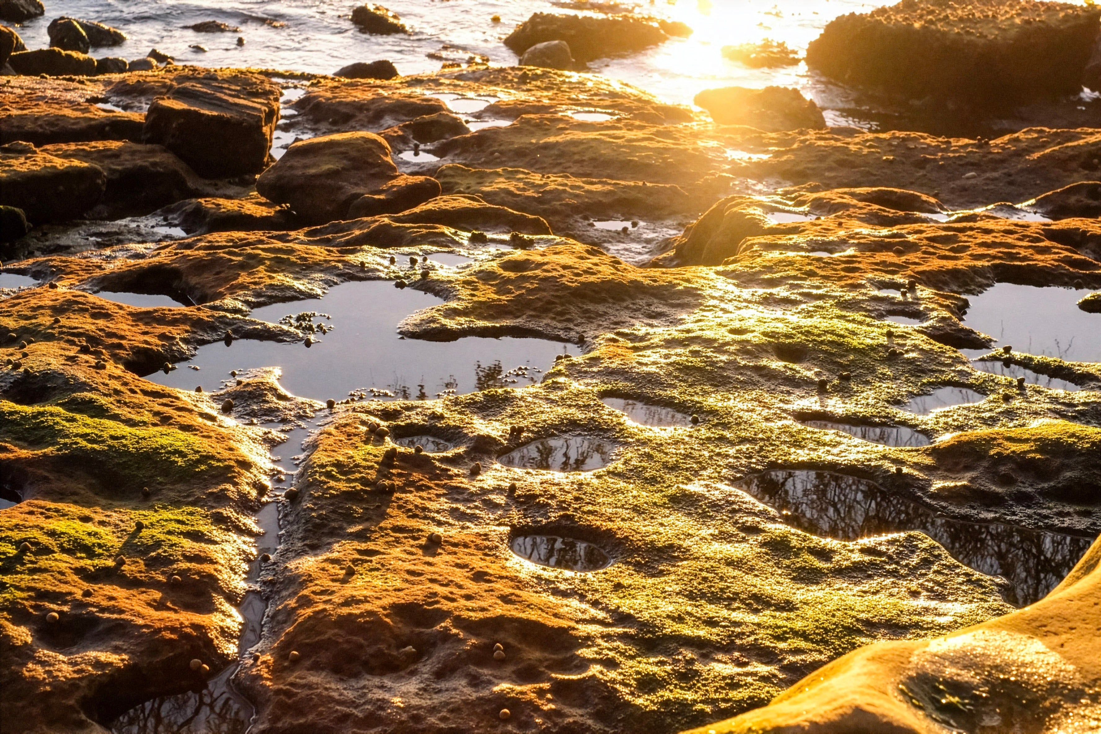 Fine Art Prints