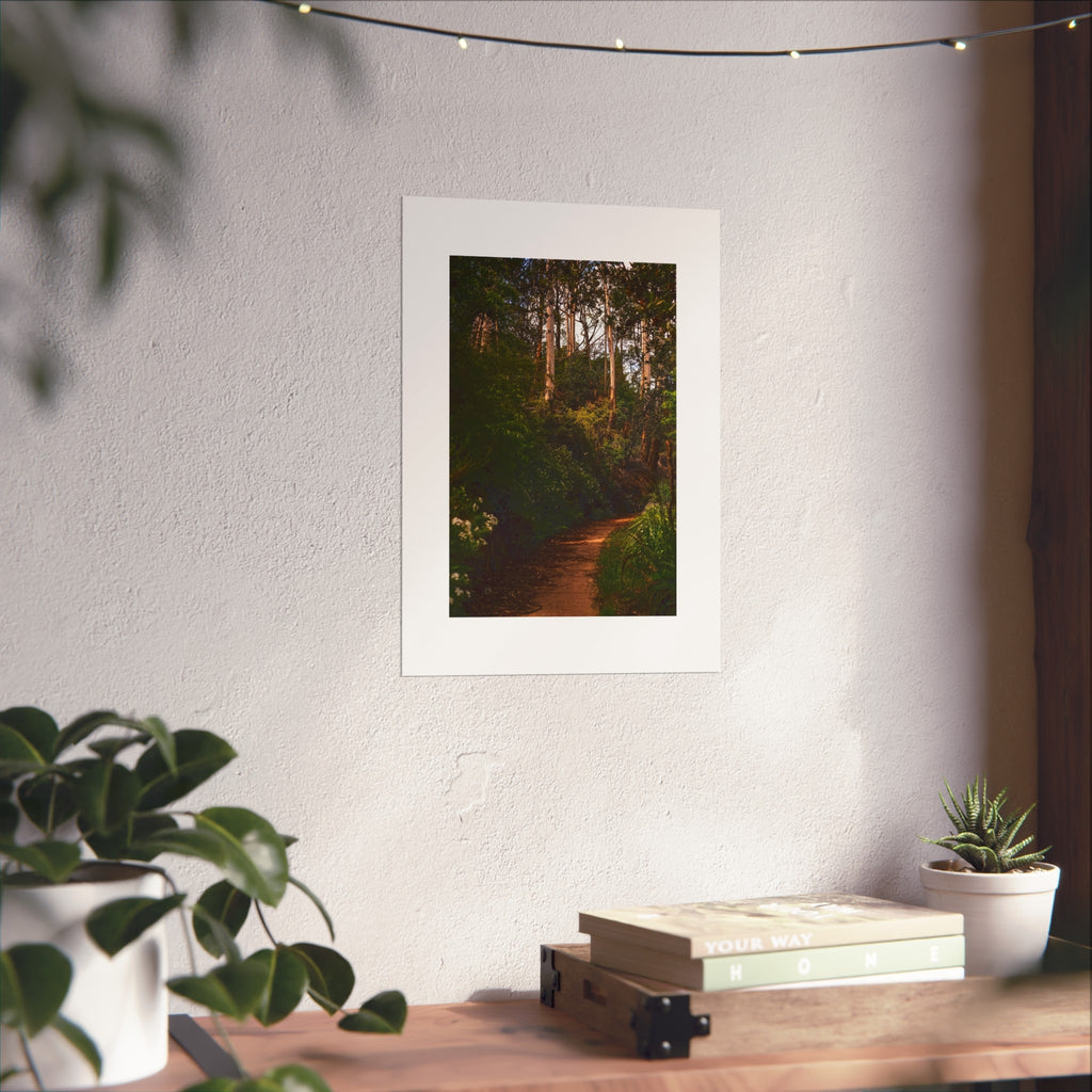 Forest Path Fine Art Poster - Blue Mountains Trail Photography