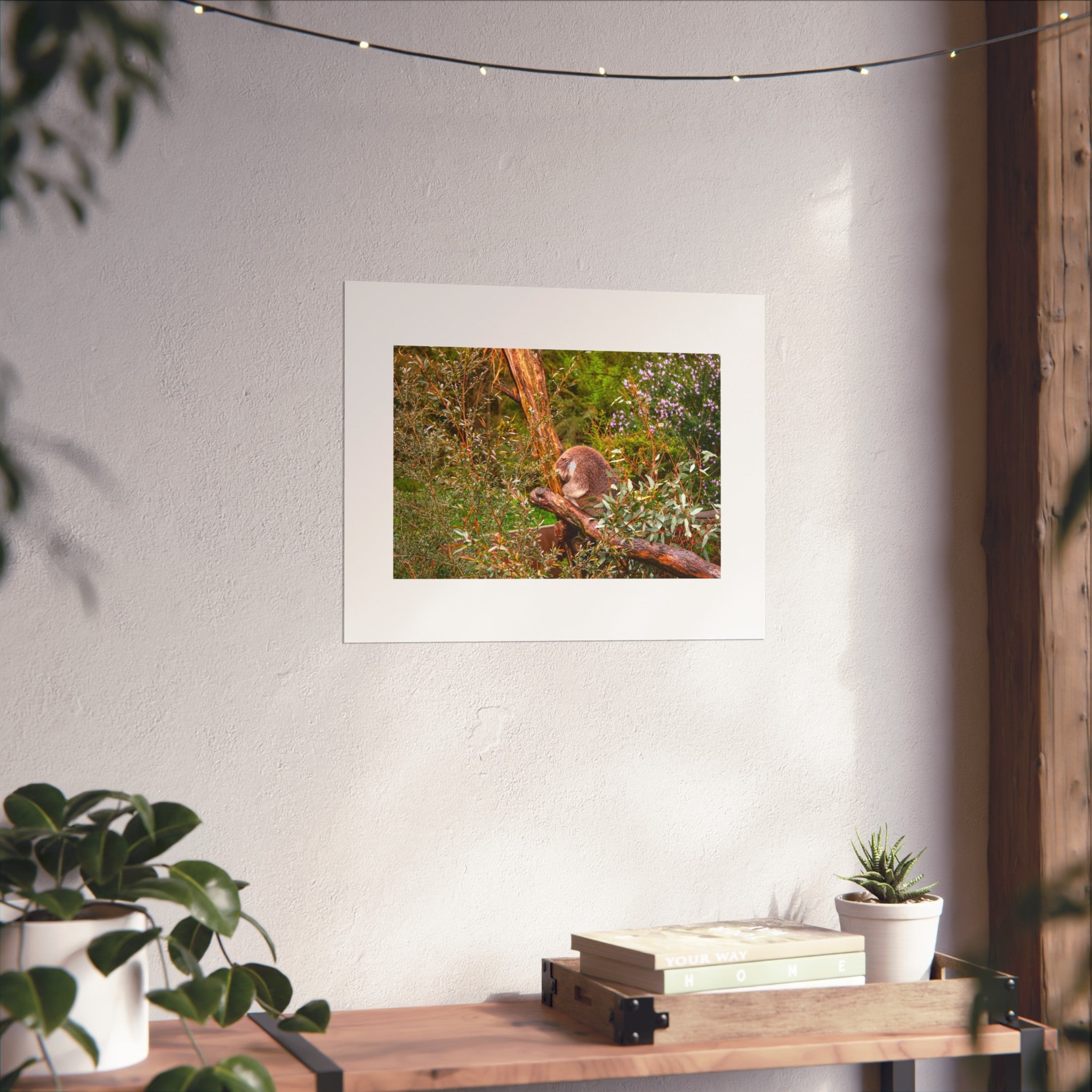 Koala in Gumtrees Fine Art Poster — Wildlife Photography Wall Print
