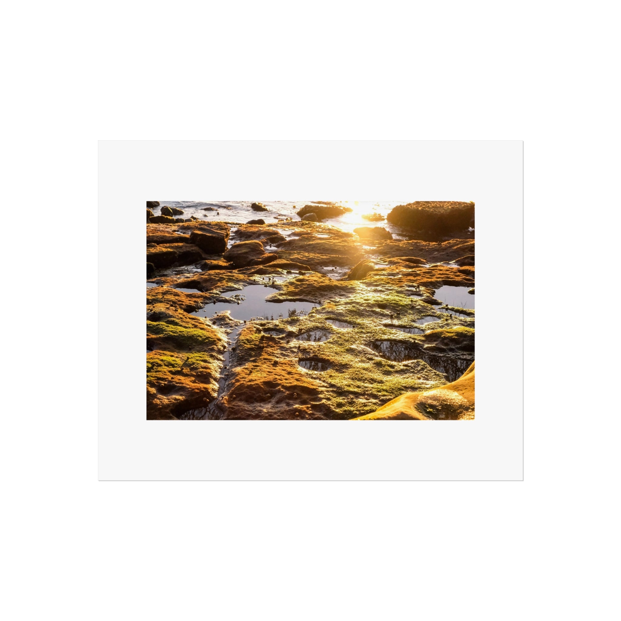 Sunset Tidal Pool Fine Art Poster — Coastal Rock Nature Print