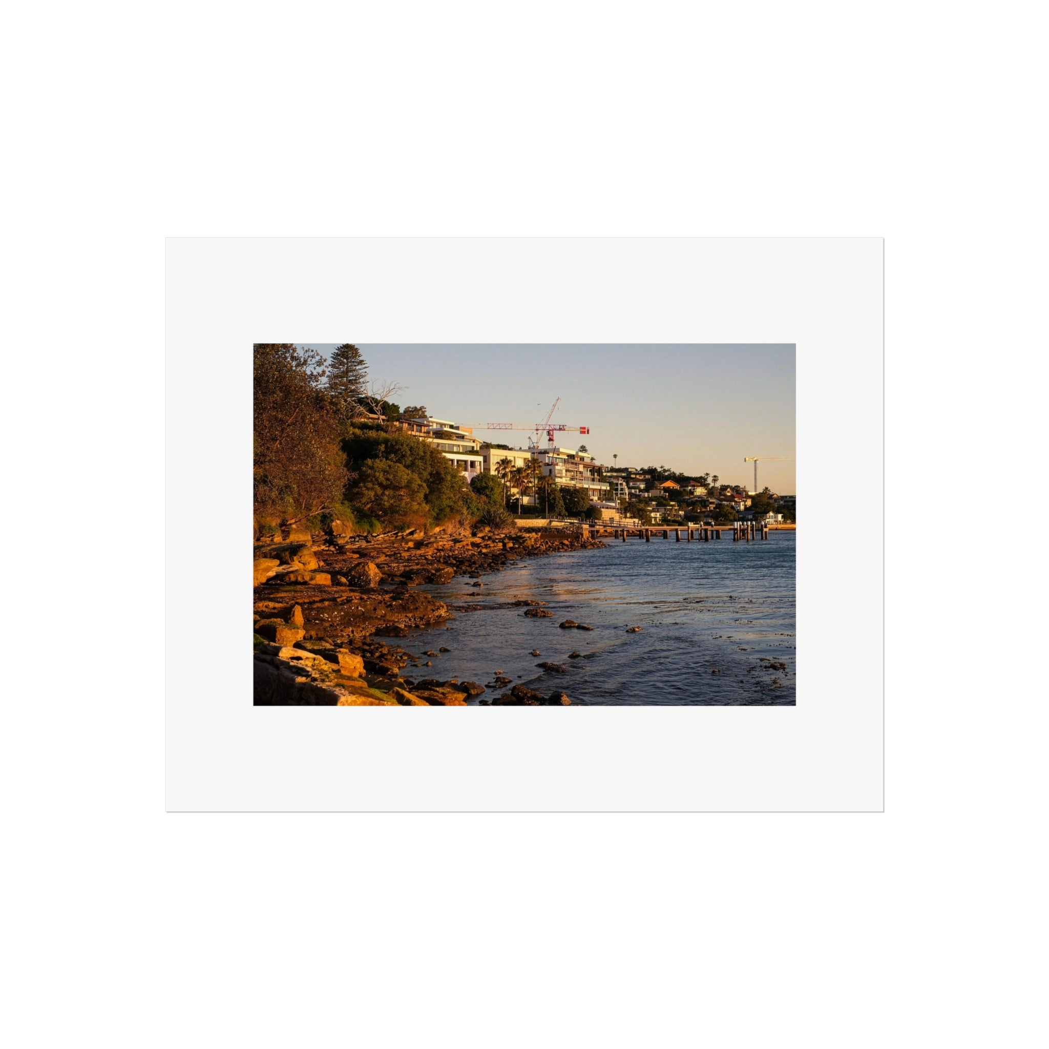 Sydney Harbor Shoreline Print - Coastal Photography Poster