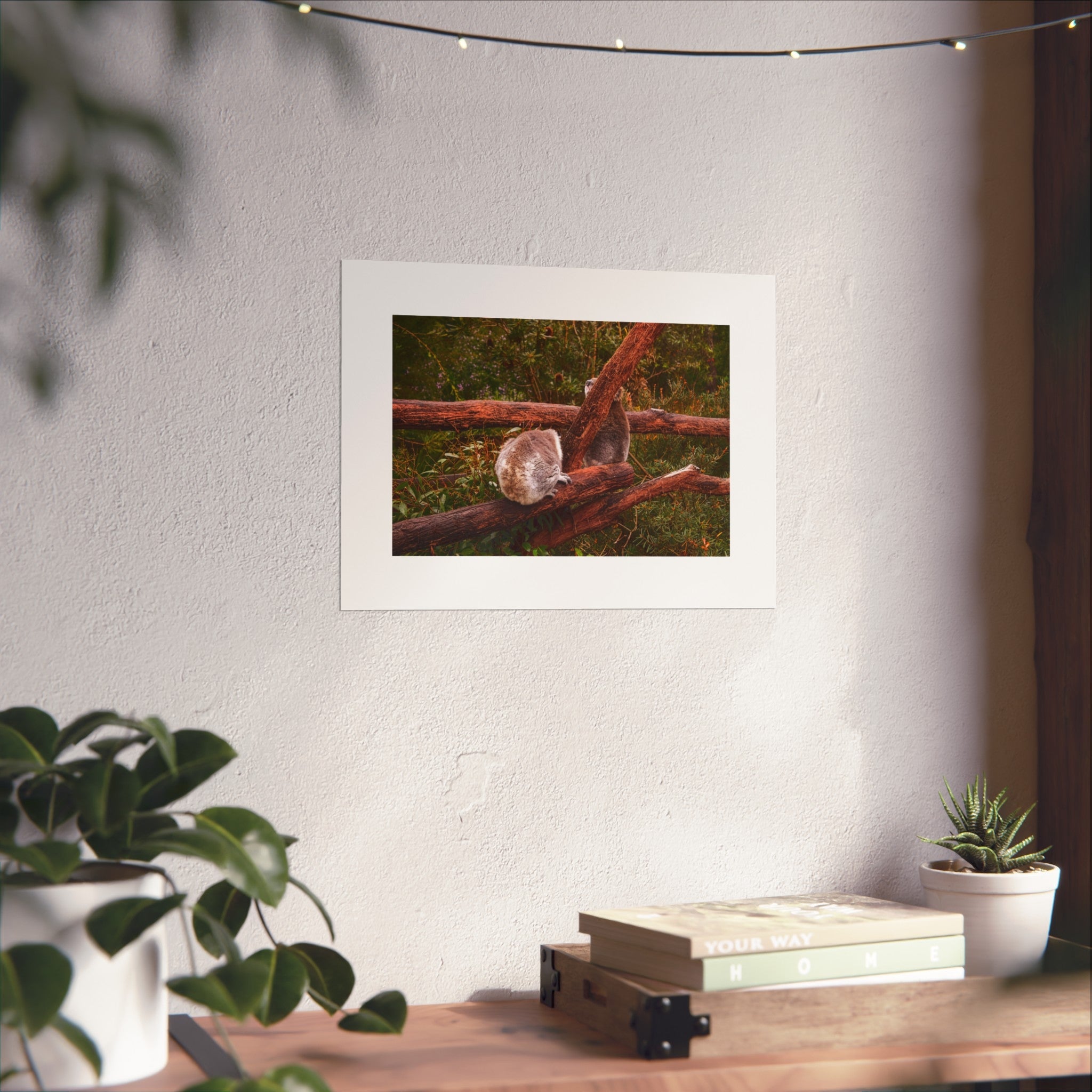 Koala Pair Fine Art Print - Australian Wildlife Photography Print