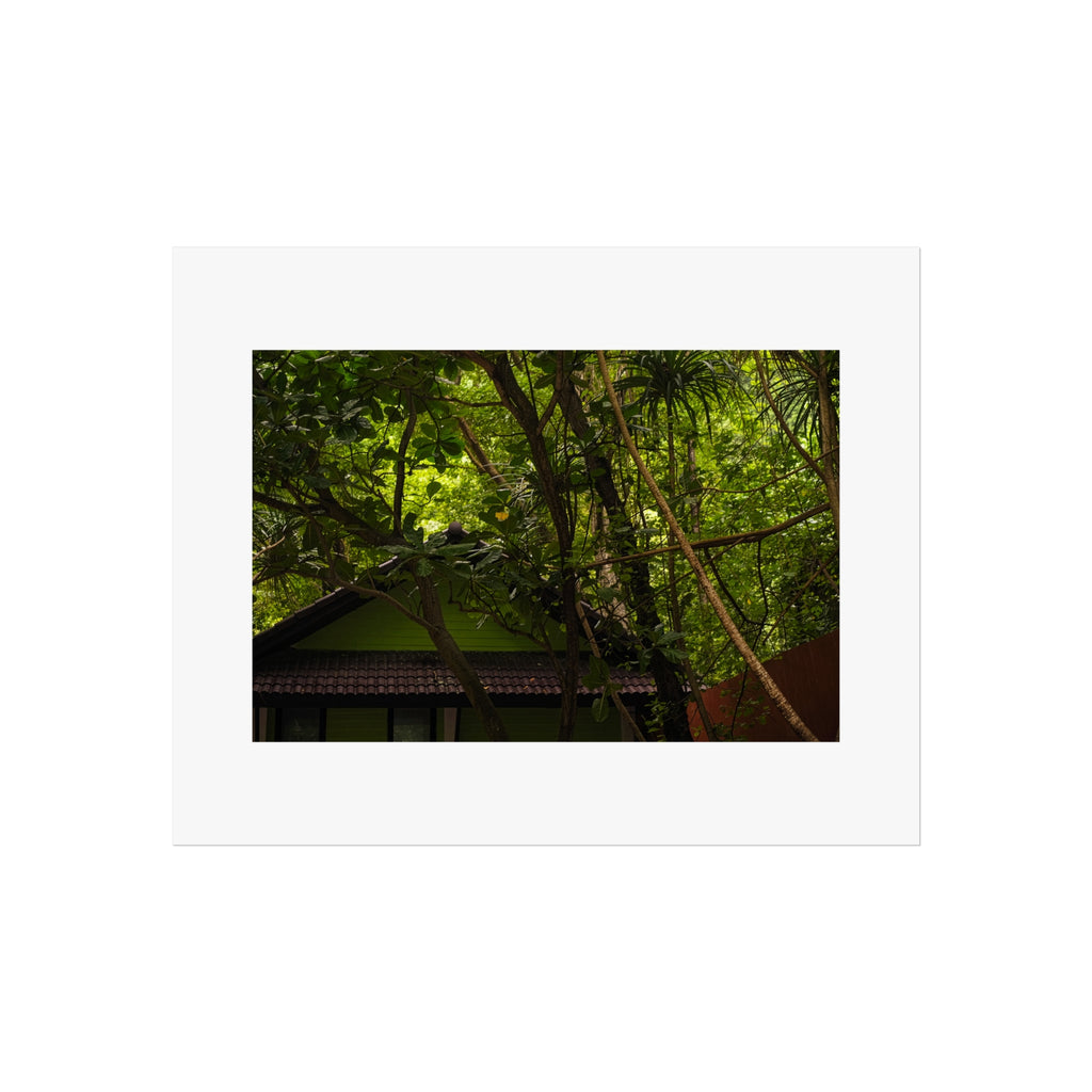 Jungle Canopy Fine Art Poster - Tropical Nature Photography Print