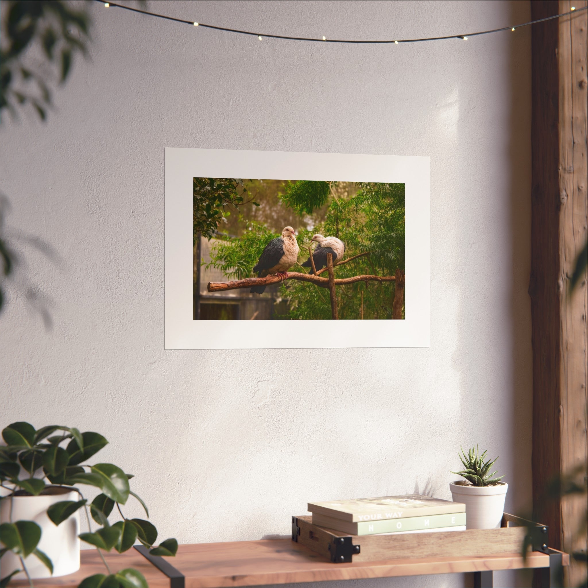 Wildlife Pigeon Pair Fine Art Poster - Bird Photography Print