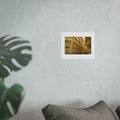 Paris Street Fine Art Poster — Sunlit Haussmann Architecture Wall Art