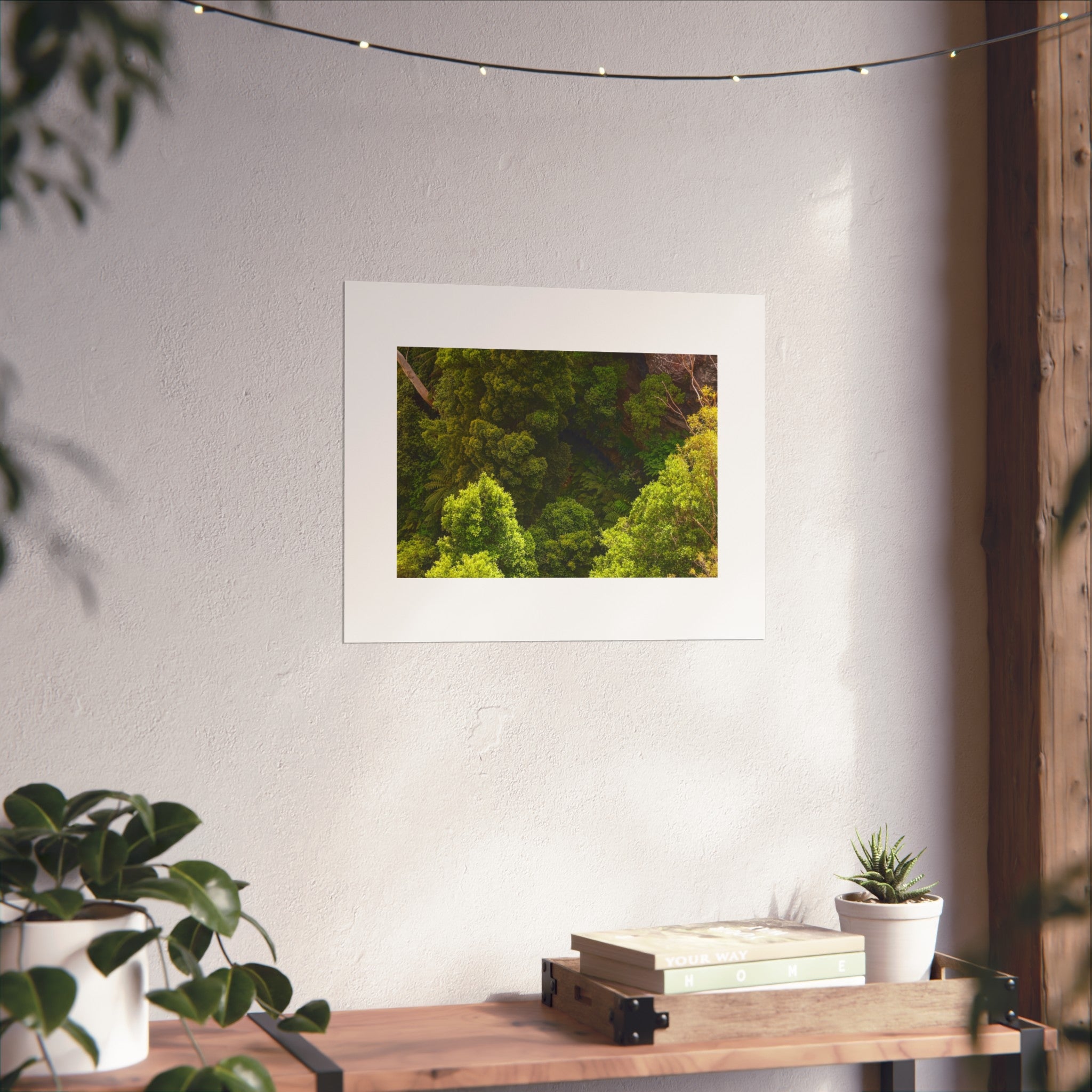 Rainforest Fine Art Print - Aerial Nature Photography