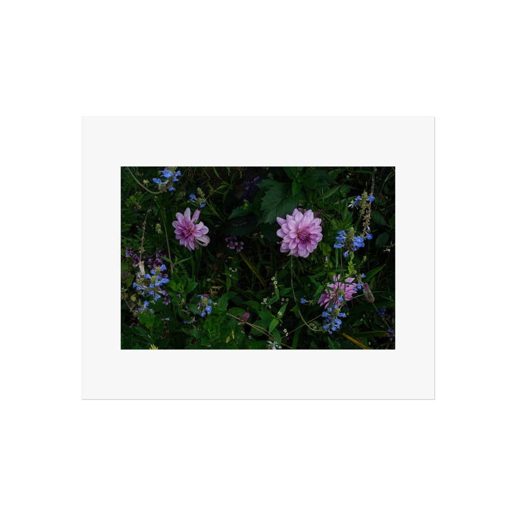 Wildflower Garden Fine Art Poster - Botanical Photography Print