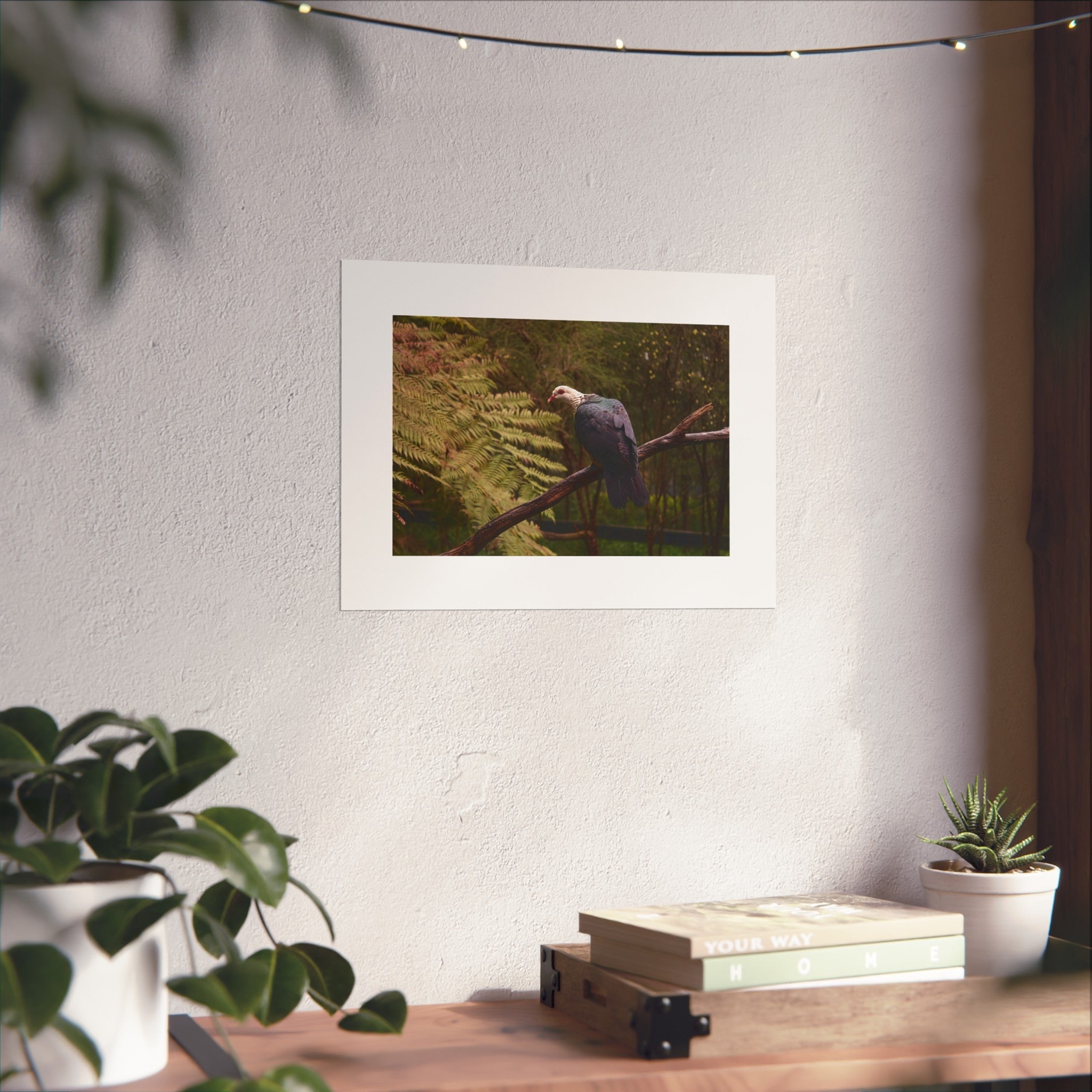 Pigeon Fine Art Print - Rainforest Bird Photography Print