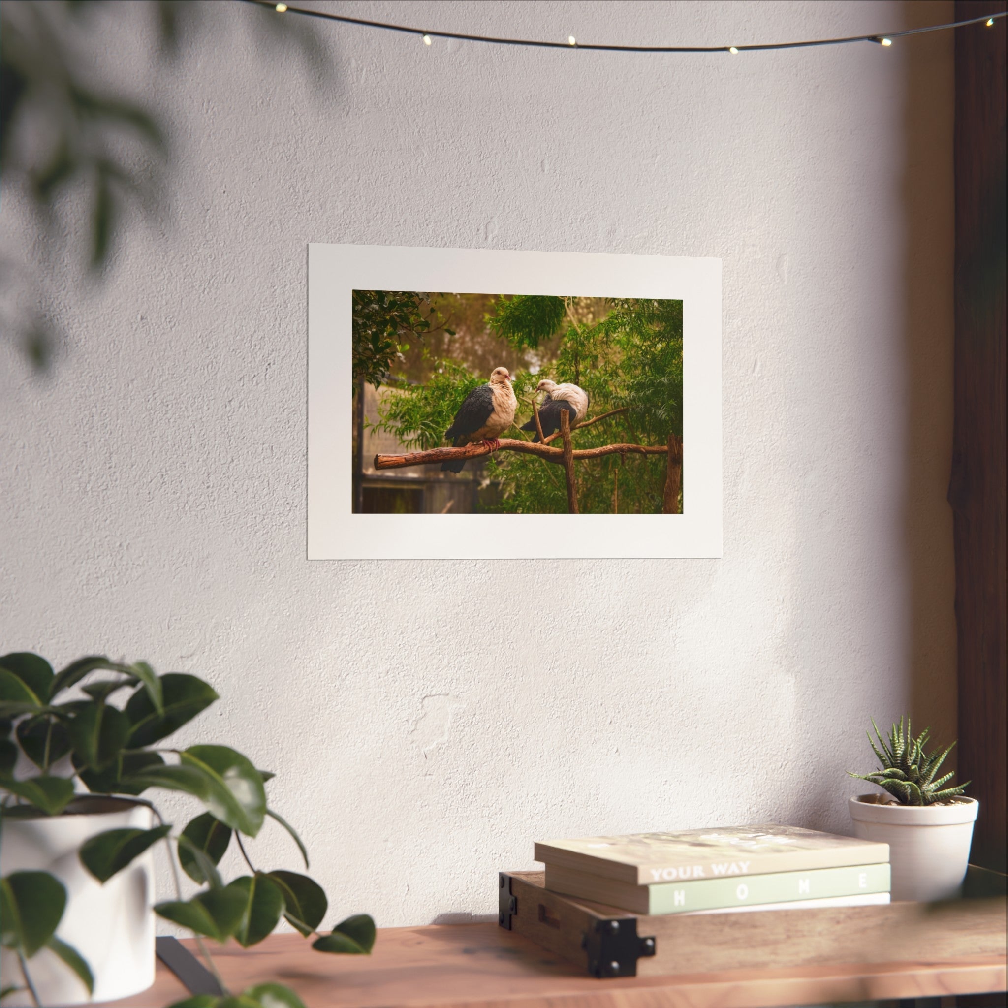 Wildlife Pigeon Pair Fine Art Poster - Bird Photography Print