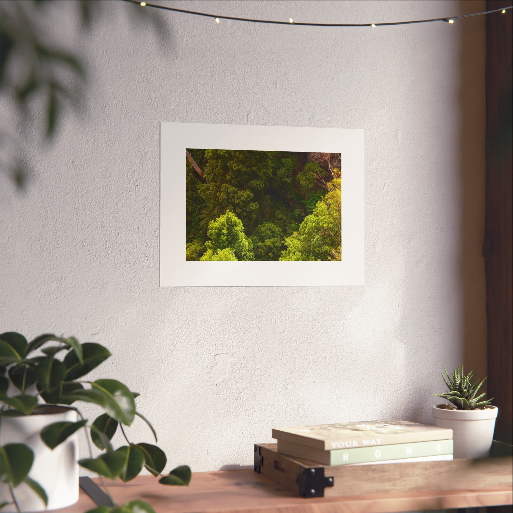 Rainforest Fine Art Print - Aerial Nature Photography