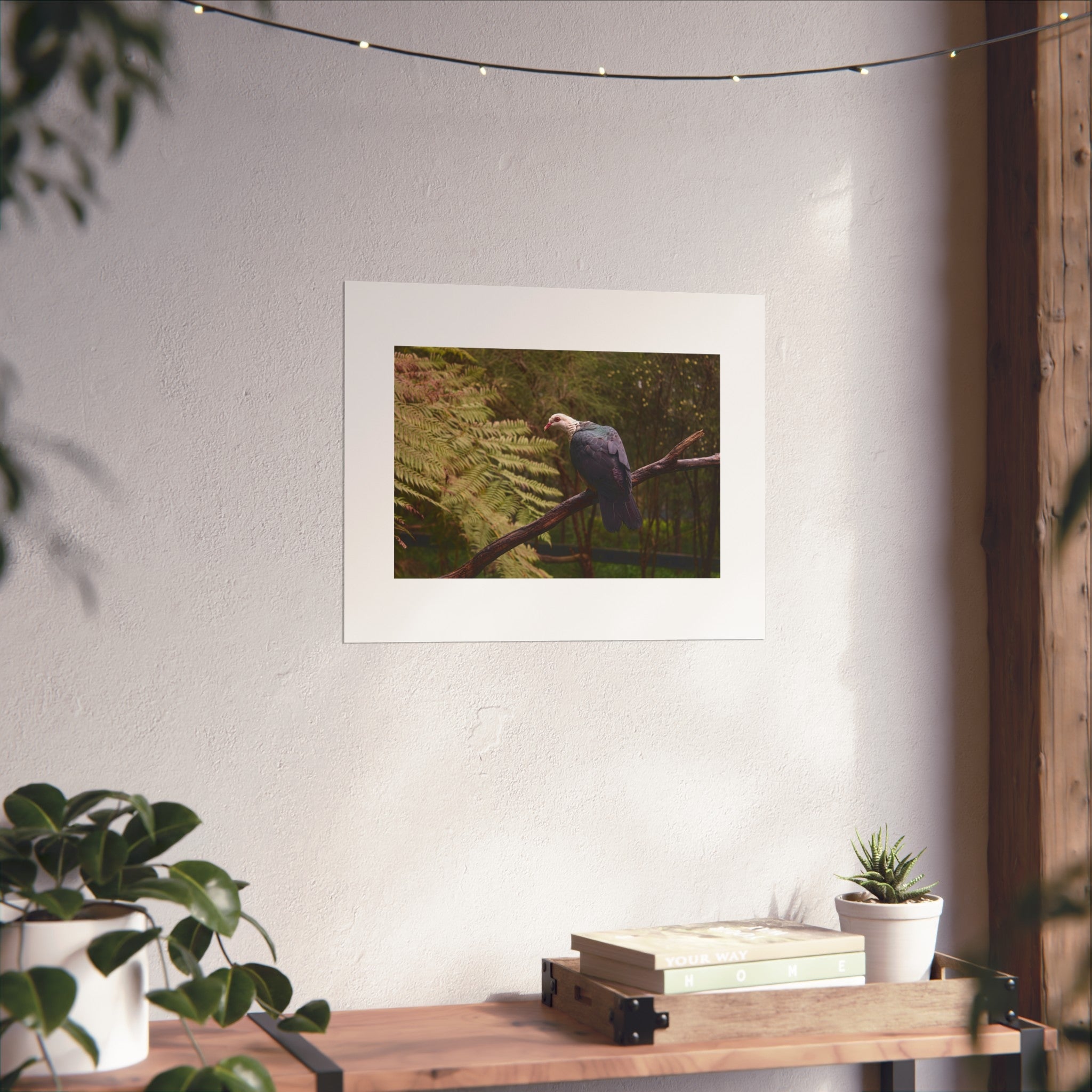 Pigeon Fine Art Print - Rainforest Bird Photography Print