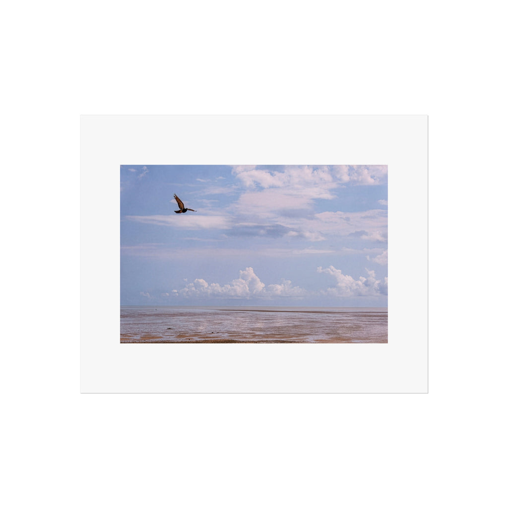 Seaside Serenity Fine Art Poster — Soaring Seagull Over Calm Ocean