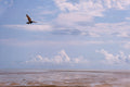 Coastal Flight Photo - Minimalist Australian Seascape