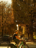 Paris Cycling Photo - Autumn Trees Golden Light
