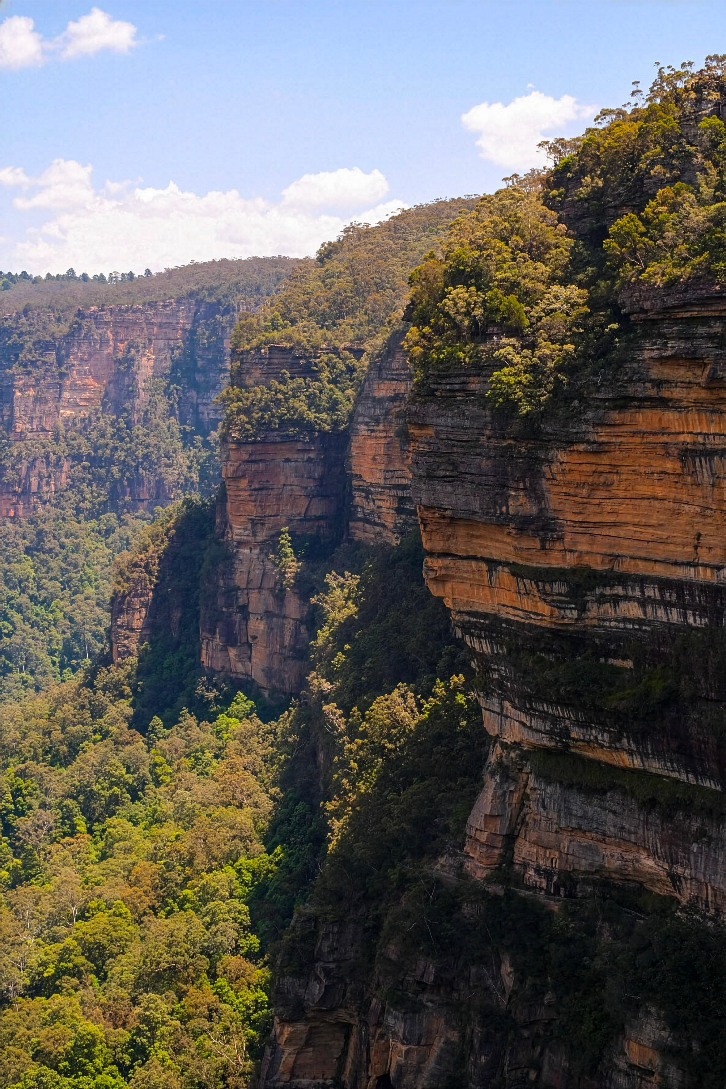 Blue Mountains Cliffs Photo - Sandstone Landscape Australia