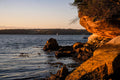 Sydney Harbour Sandstone Cliffs Photo - Erosion Patterns Australia